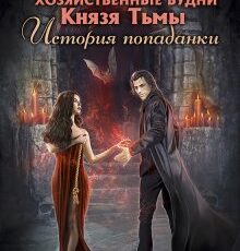«Хозяйственные будни Князя Тьмы. История попаданки» Татьяна Михаль