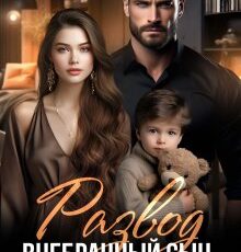 «Развод. Внебрачный сын мужа» Анна Томченко