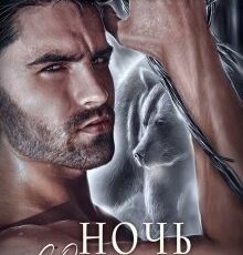 «Ночь со зверем» Анна Владимирова