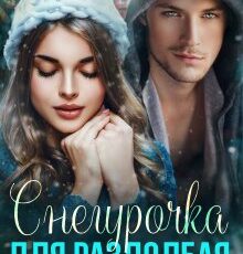 «Снегурочка для раздолбая» Элина Бриз