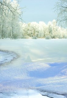 Читать онлайн «Будь моей Снегурочкой» Любовь Огненная, Ульяна Гринь