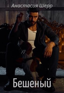Читать онлайн «Бешеный» Анастасия Шерр