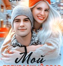 «Мой прекрасный враг» Ники Сью