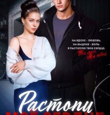 «Растопи мое сердце» Ники Сью, Даша Коэн