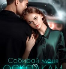 «Собирай меня по осколкам» Ники Сью