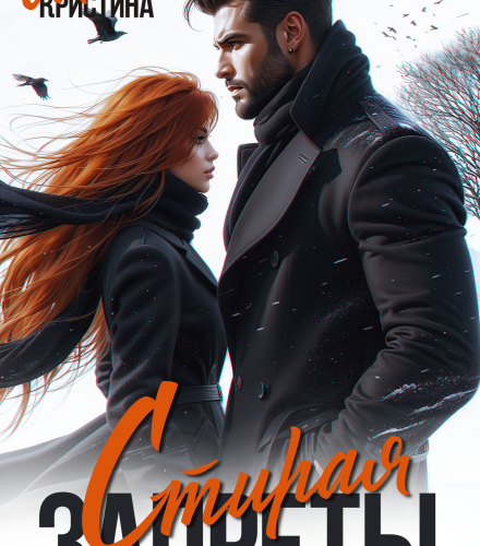 «Стирая запреты» Кристина Майер